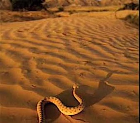 Satan going to assault Jesus in the wilderness